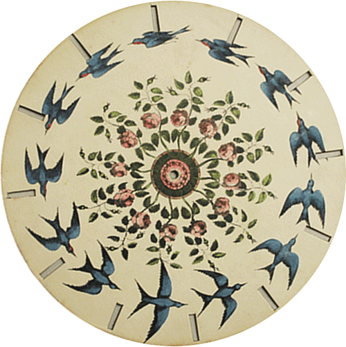 An animated vintage wheel of swallows surrounding a floral pattern.